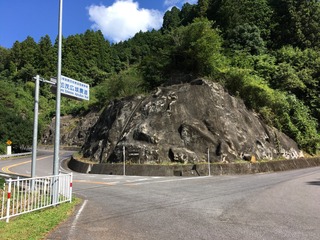 IMG_0005.JPG