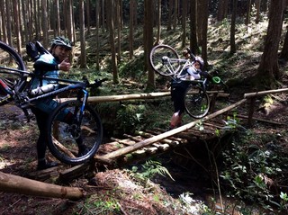 PEDALMARK_238.jpg
